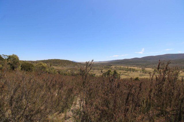 3314 Cooma Road, NSW 2622
