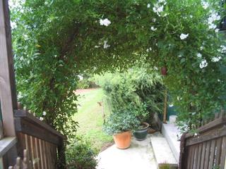 Garden (2007-03-30)