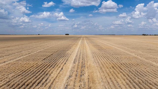 North Prairie, NSW 2400