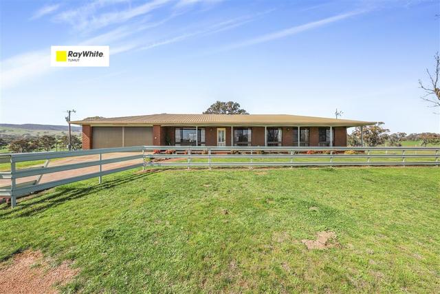 1538 Wee Jasper Road, NSW 2720