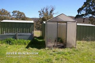 Greenhouse (2010-09-22)