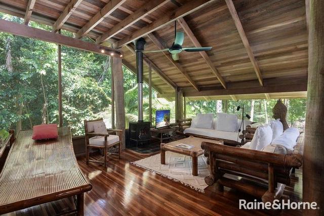 3198 Mossman Daintree Road, QLD 4873