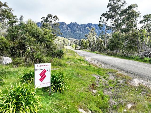 Lot 2 McCoys Road, TAS 7306