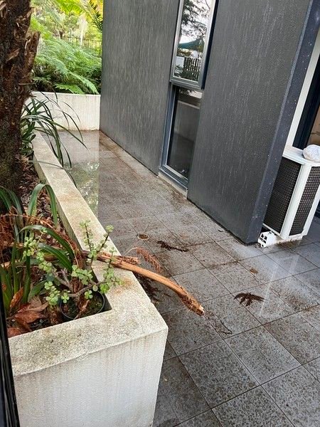 116b/1-19 Colombo St, VIC 3132