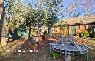 Back garden (2013-06-12)