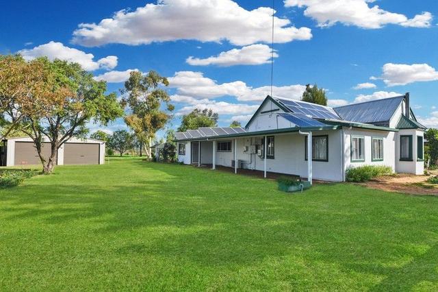 16 Rees Avenue, NSW 2382