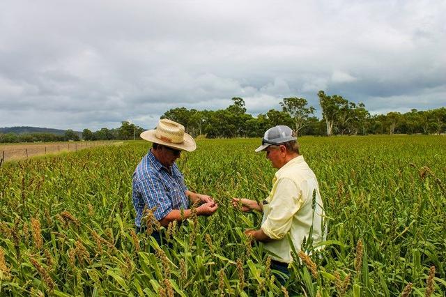 126 Fontainbleau Road, QLD 4361