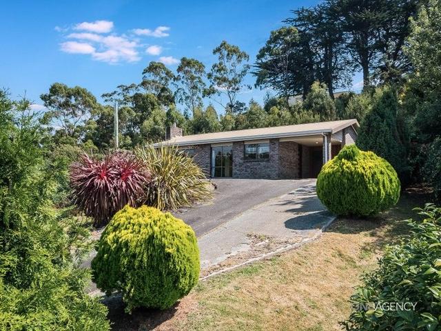 19 Goldie Street, TAS 7330