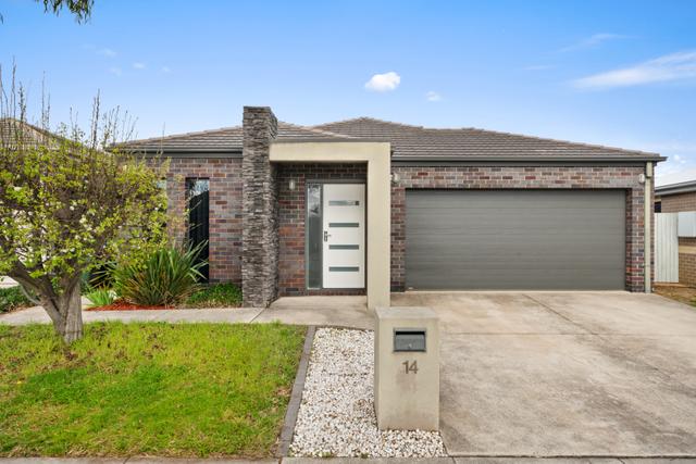 14 Ivy Kent Street, ACT 2914