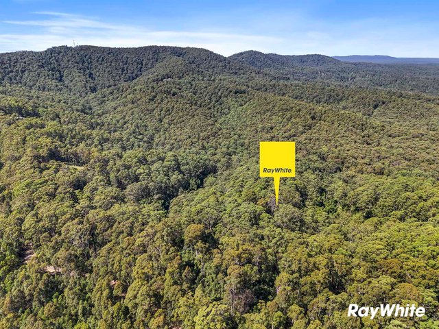291D Brooman Road, NSW 2538