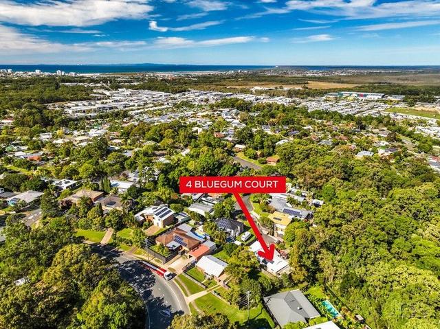 4 Bluegum Court, QLD 4551