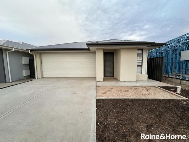 13 Goderich Street, SA 5115