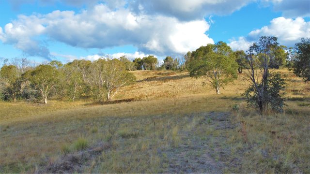 (no street name provided), NSW 2630