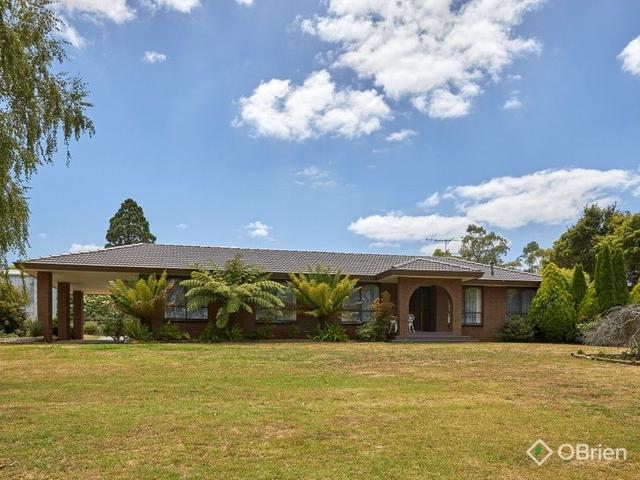 16 Wellwood Road, VIC 3818