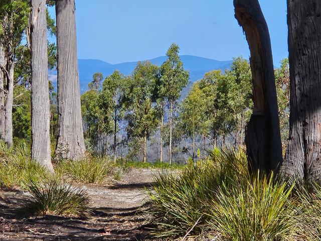 161 Levendale Back Road, TAS 7120