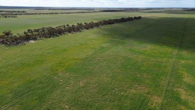 Lot 18 Tod Highway, SA 5650
