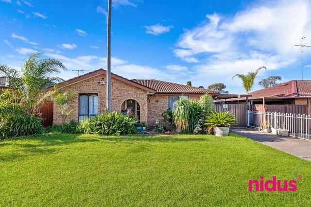 41 Lamerton Street, NSW 2761