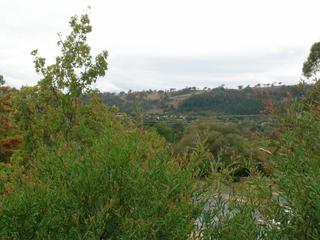 View (2005-03-24)