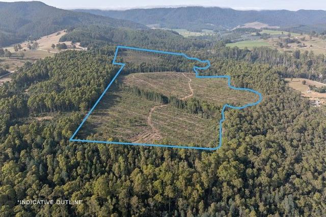 Lot 1 East Maurice Road, TAS 7263