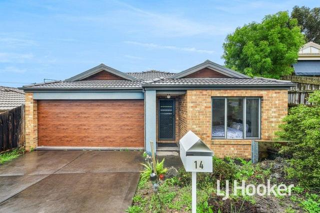 14 McClenaghan Place, VIC 3810