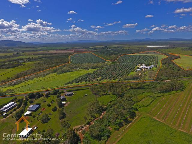 44 Carman Road, QLD 4880