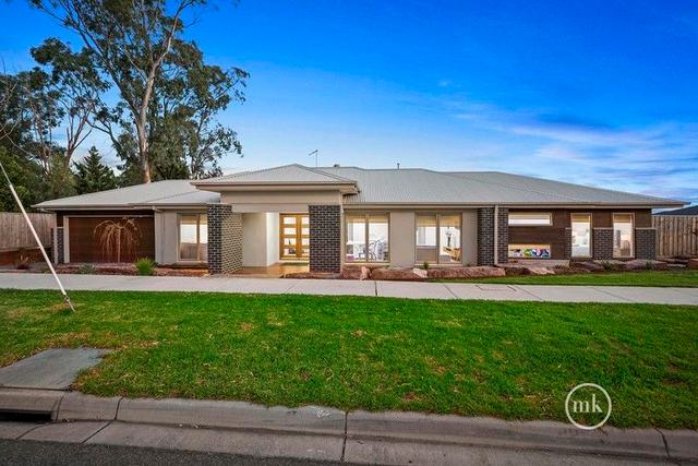 253 Painted Hills Road, VIC 3754