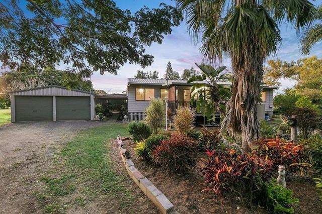 19 Thornton  Court, QLD 4702