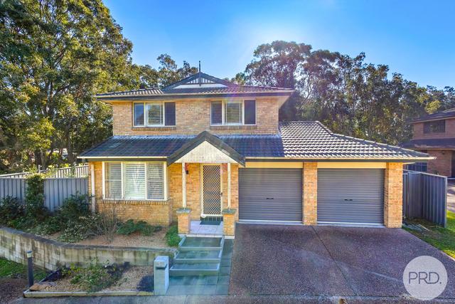 3 Salamander Gardens Court, NSW 2317