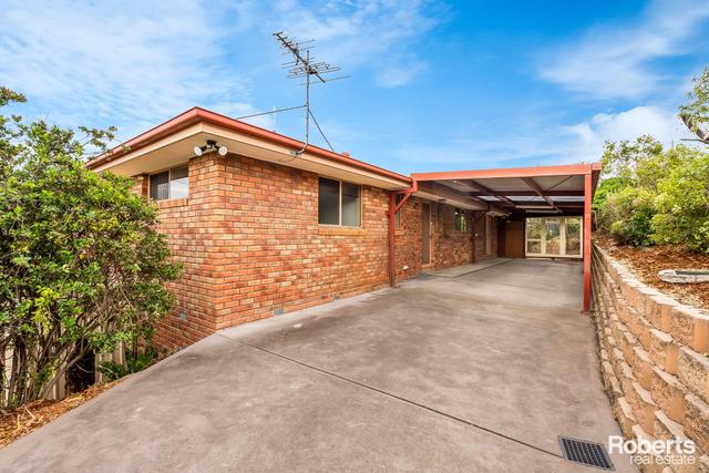 19 Carter Court, TAS 7140