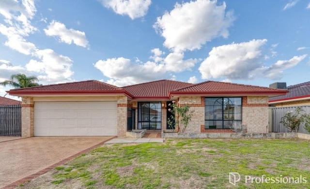 8 Thomasia Street, WA 6110