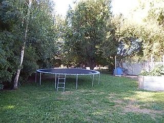 Backyard (2015-02-07)