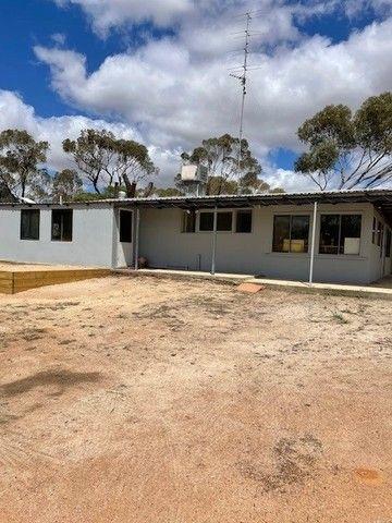 89 Newcastle Street, WA 6302