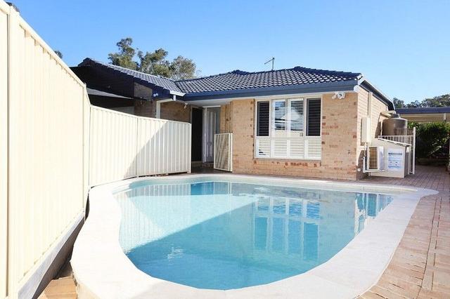 39 Numbat Court, QLD 4216