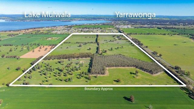290 Savernake Road, NSW 2647