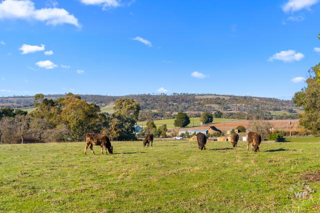 Lot 93 Jungfer Road, SA 5244