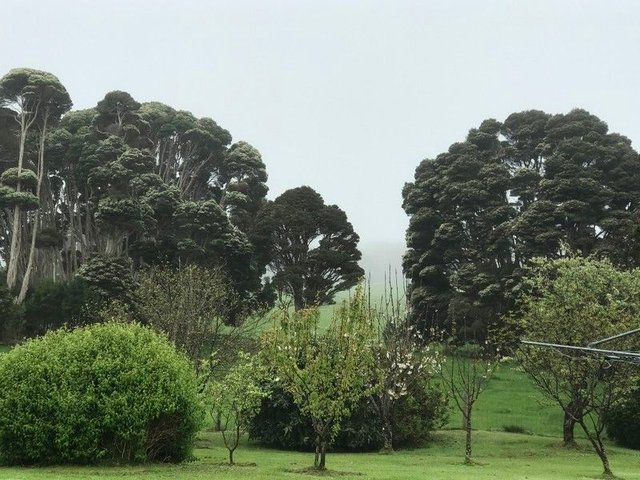 90 Bischoffs Road, TAS 7256