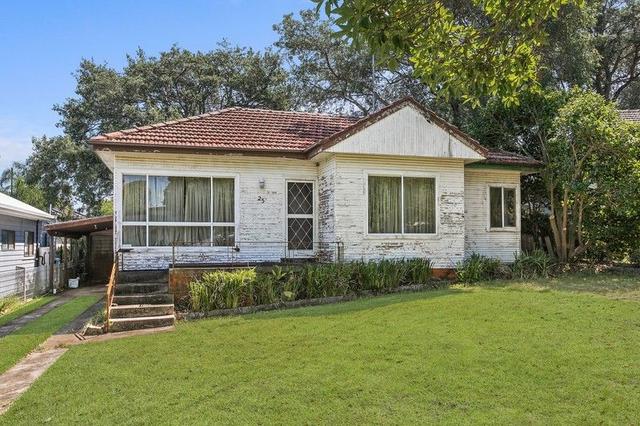 25 Treloar Avenue, NSW 2223