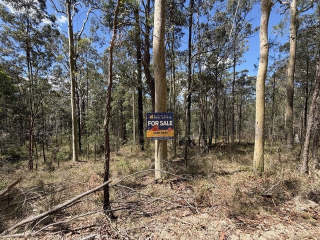 Lot 398 Tenterfield Road, NSW 2324