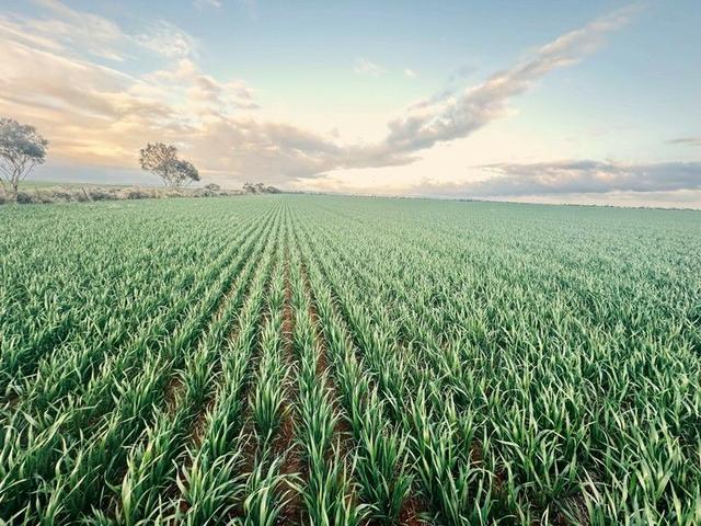 'Jansen's' Sec 414 Wirreanda Rd, SA 5464