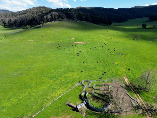 'Eastmore' 1177 Callaghan Creek Road, VIC 3701