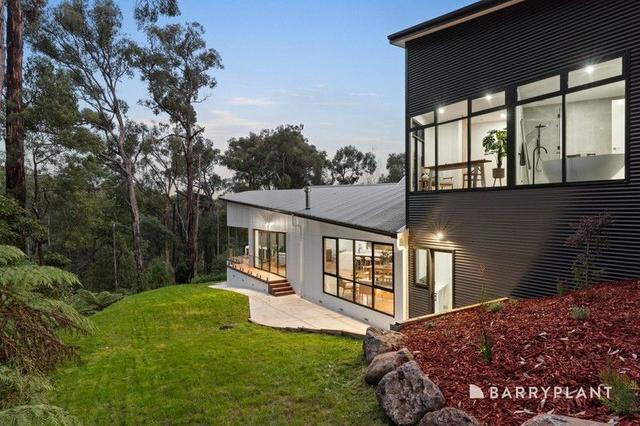 55 Mountain Road, VIC 3781