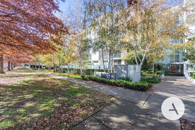 55/45 Blackall Street, ACT 2600