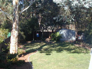 Rear yard