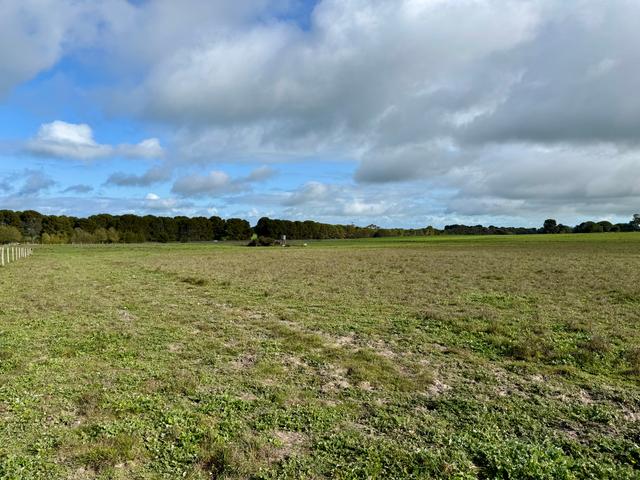 Lot 673 Riddoch Highway, SA 5271