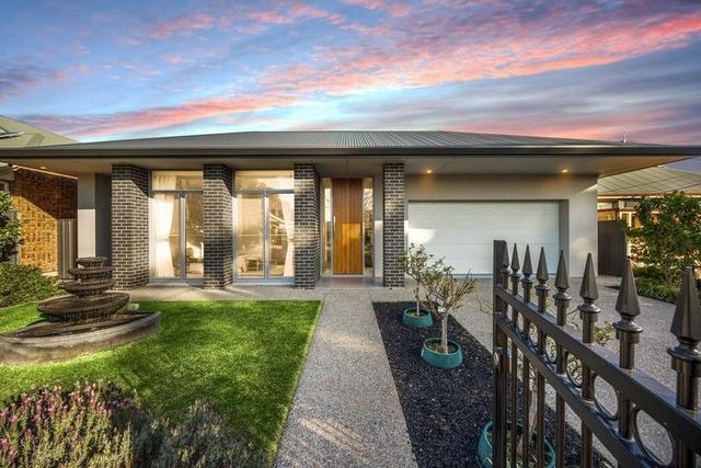 45 Haig Street, SA 5062