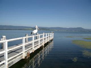 Nearby scenery