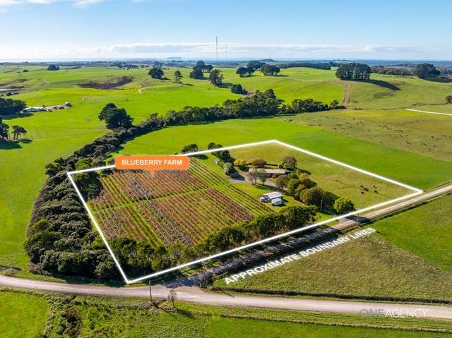 11 Rawlings Road, TAS 7330
