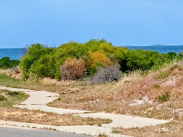 10 Craike Way, WA 6514