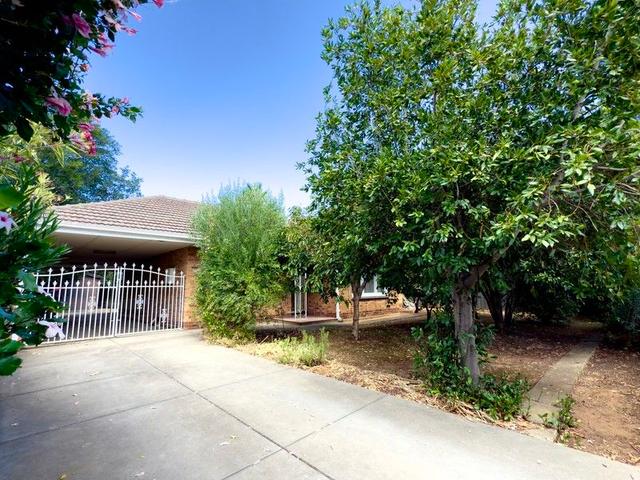 117 Marian Road, SA 5070
