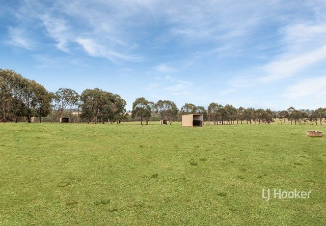 31B/420 Tallarook-Pyalong Road, VIC 3659